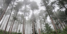 意大利佛罗伦萨景点 意大利佛罗伦萨旅游景点