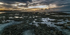 重庆自驾回四川需要核酸检测吗现在 重庆自驾回四川需要核酸检测吗现在怎么办