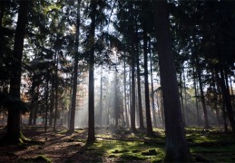 上海金山区十大景点介绍