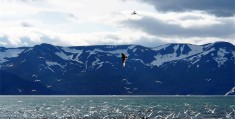 湘湖十大景点 湘湖景区游玩攻略